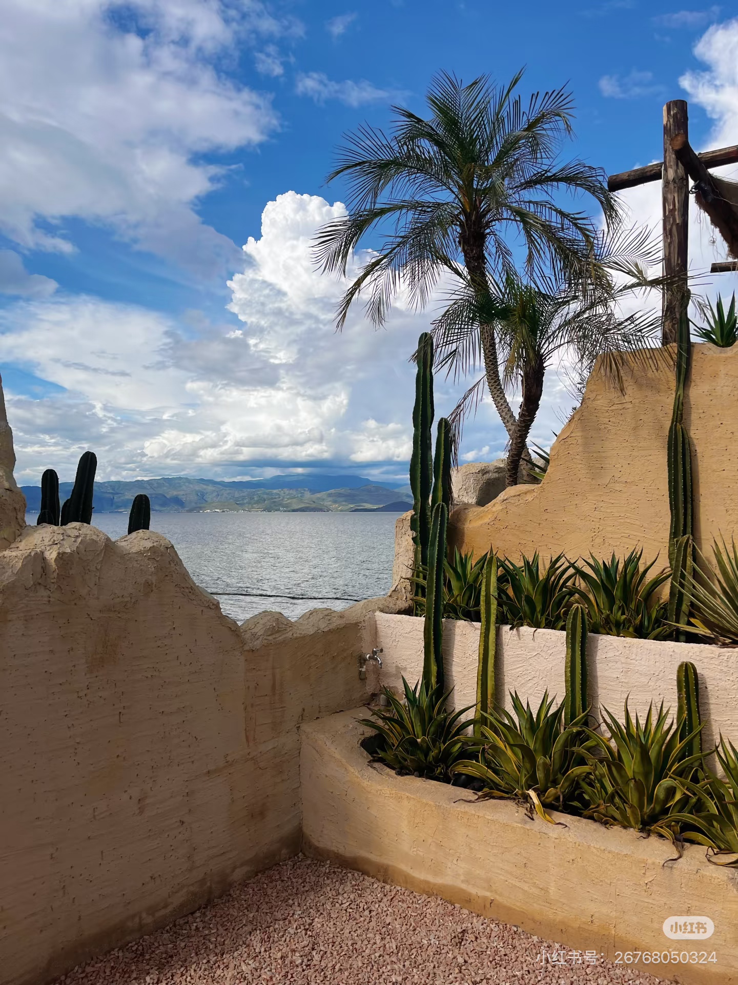 Sunrise Mountain & Sea Café 7