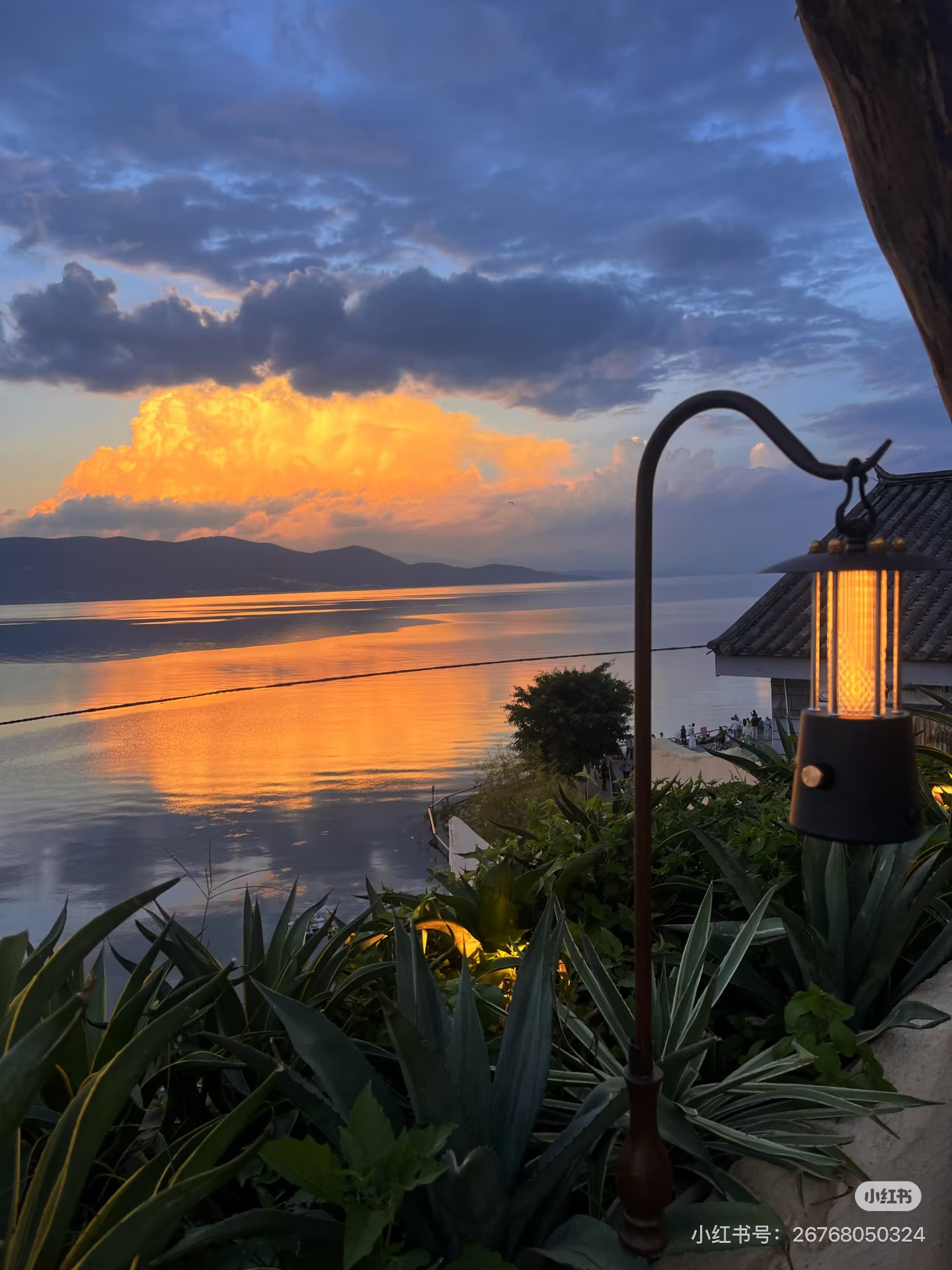 Sunrise Mountain & Sea Café 13